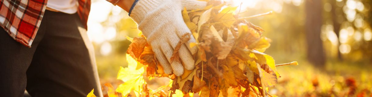 how to get your garden autumn ready
